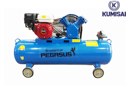 Máy nén khí đầu nổ chạy xăng Pegasus TM-V-0.25/8-100L