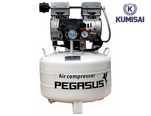 Máy nén khí piston mini không dầu Pegasus TM-OF750-40L