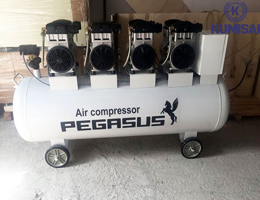 Máy nén khí Pegasus TM-OF1100X4-330L