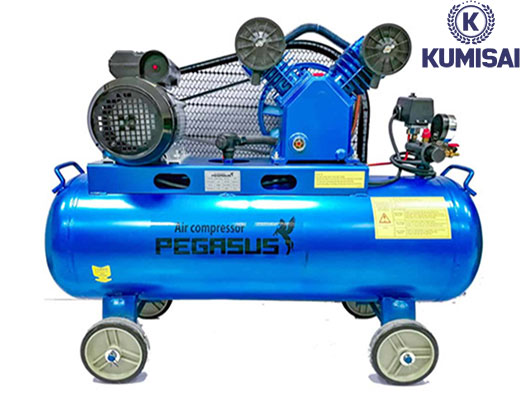 Máy nén khí Pegasus TM-V-0.12/8-70L