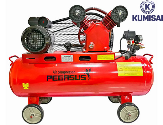 Máy nén khí Pegasus TM-V-0.12/8-70L