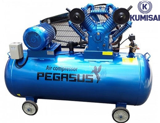 Máy nén khí Pegasus TM-W-0.67/8-500L