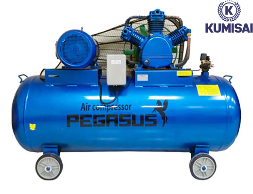 Máy nén khí Pegasus TM-W-1.0/8-330L