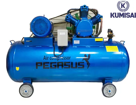 Máy nén khí piston Pegasus TM-W-1.0/8-330L