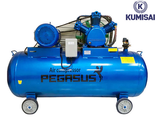 Máy nén khí Pegasus TM-W-1.0/8-500L