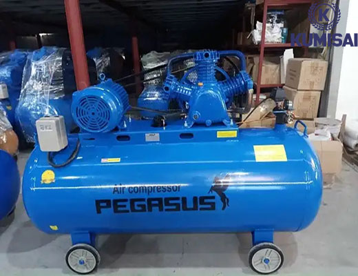 Máy nén khí Pegasus TM-W-2.0/12.5-500L