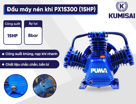 Đầu nén khí Puma PX15300 (15HP) - 2