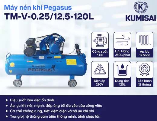 Máy nén khí công nghiệp piston Pegasus TM-V-0.25/12.5-120L - 2