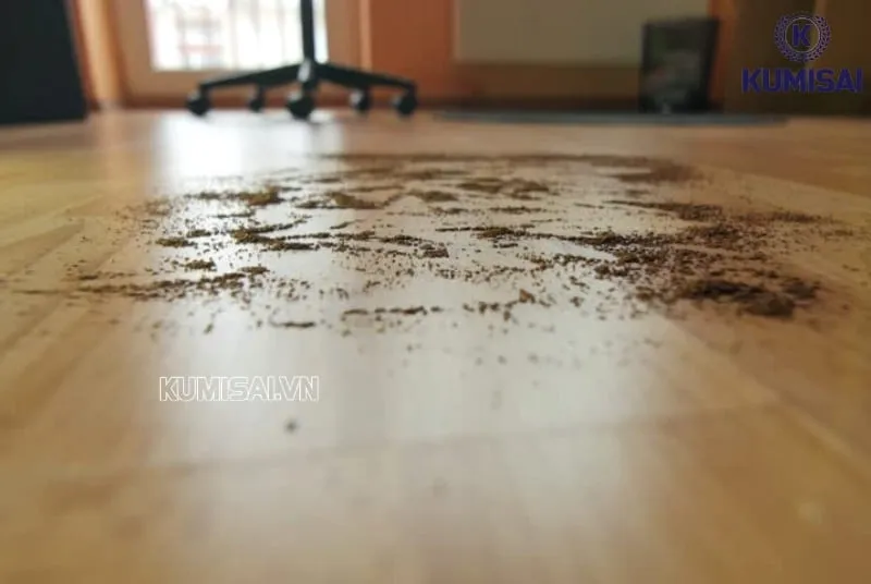Những sai lầm thường gặp khi đánh bóng sàn nhà Những sai lầm thường gặp khi đánh bóng sàn nhà