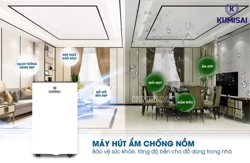 Hạn chế nấm mốc gây hỏng thực phẩm Hạn chế nấm mốc gây hỏng thực phẩm