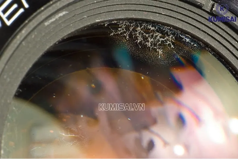 Ngăn nấm mốc phát triển trên ống kính Ngăn nấm mốc phát triển trên ống kính