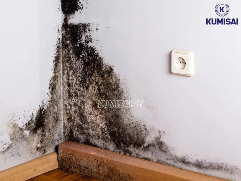 Lợi ích khi sử dụng máy hút ẩm 26L cho mùa nồm Lợi ích khi sử dụng máy hút ẩm 26L cho mùa nồm