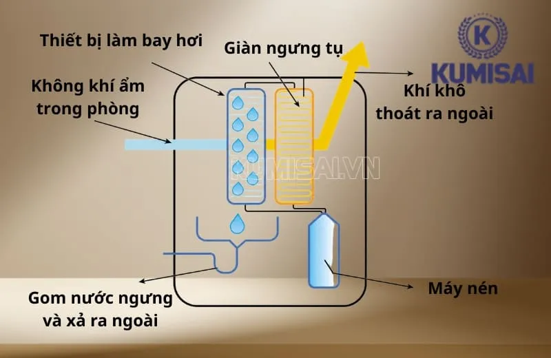Cơ chế hoạt động của FujiE HM-368D