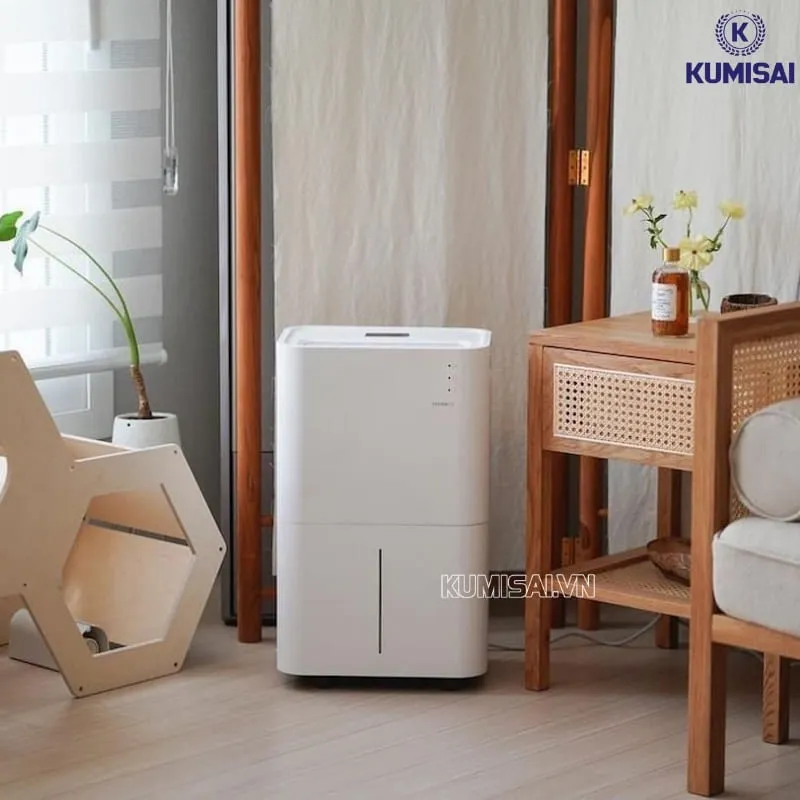 Kiểm soát độ ẩm và hạn chế nấm mốc Kiểm soát độ ẩm và hạn chế nấm mốc