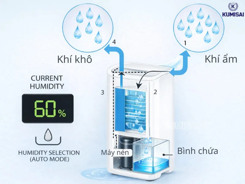 Nguyên lý hoạt động của máy hút ẩm mini Nguyên lý hoạt động của máy hút ẩm mini