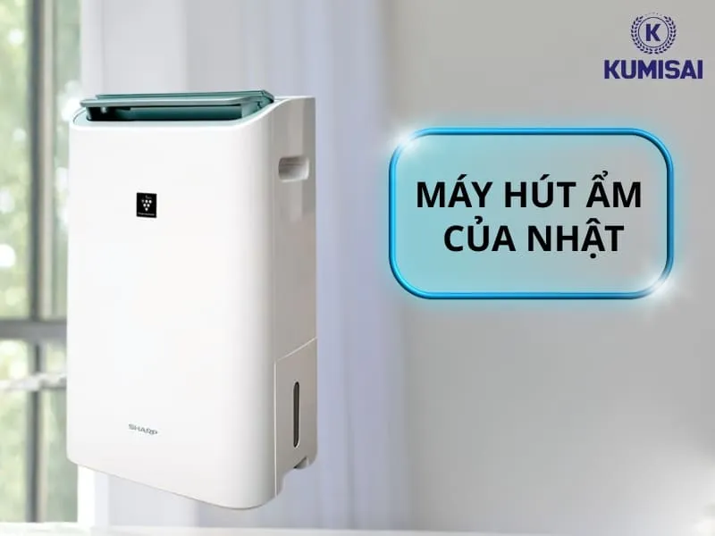 Tại sao nên sử dụng máy hút ẩm của Nhật