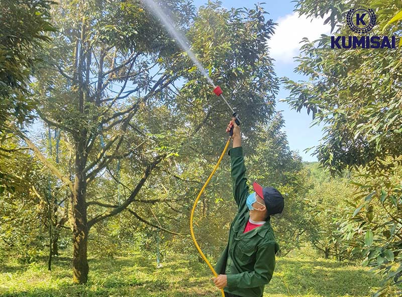 Dùng máy rửa xe phun thuốc trừ sâu cho cây