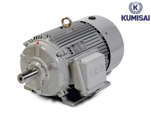 Motor điện cho máy rửa xe 5,5kW