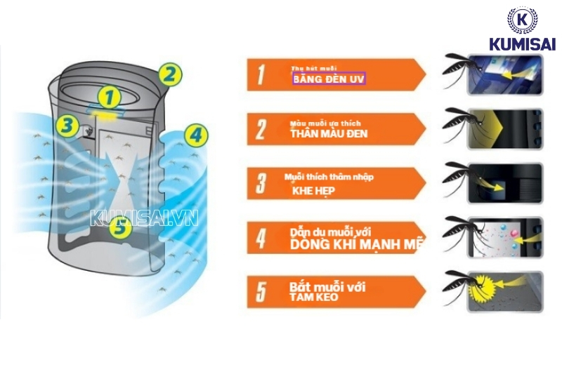 Cơ chế bắt muỗi 