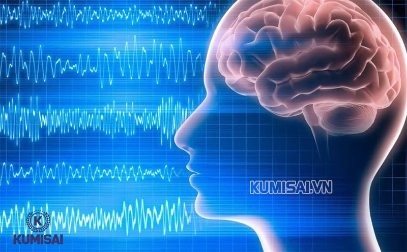 Cơ chế tác động của sóng vô tuyến thông qua sự gia tăng nhiệt độ trong các mô cơ thể