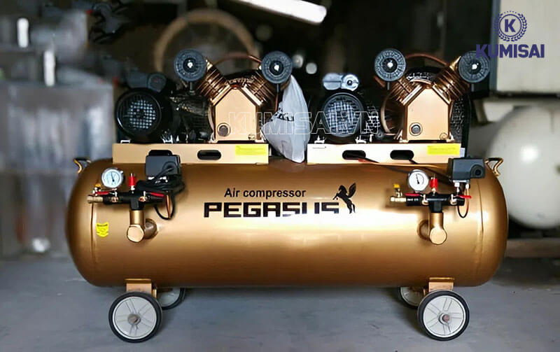 Thiết kế máy Pegasus TM-V-0.25/8x2-230L gọn & thuận tiện