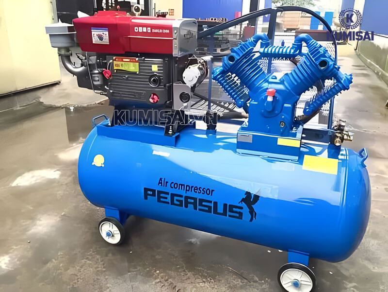 Thiết kế máy Pegasus TM-V-1.05/12.5-330L chắc chắn