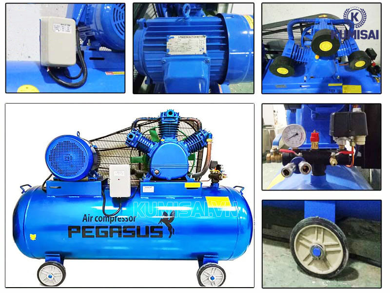 Thiết kế máy nén khí Pegasus TM-W-0.67/8-330L