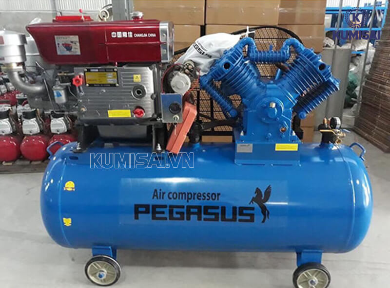 Thiết kế máy nén khí Pegasus TM-W-1.0/8-330L tiện dụng
