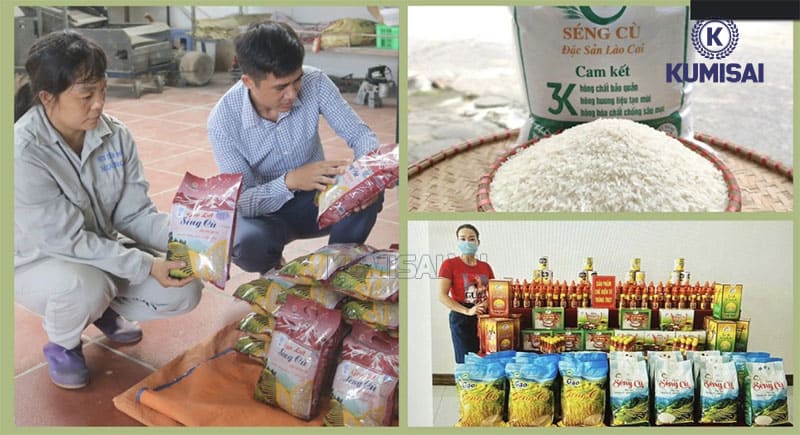 máy dò kim loại nông sản tốt nhất