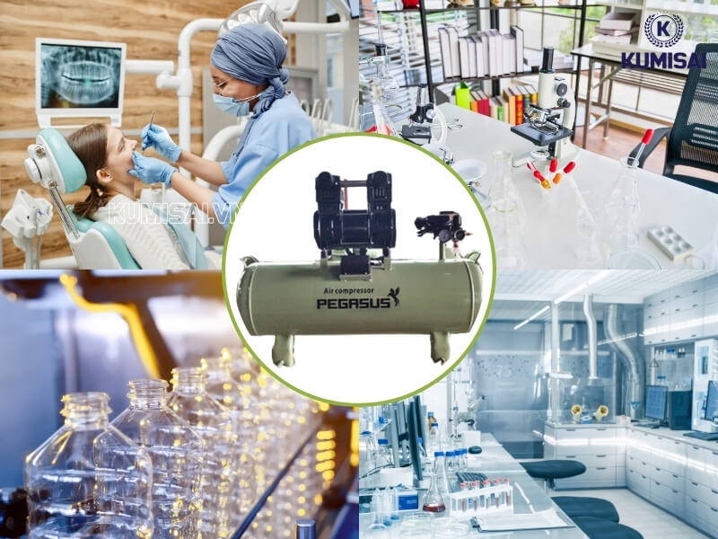 Ứng dụng phổ biến của máy nén khí Pegasus TM-OF1500-70L