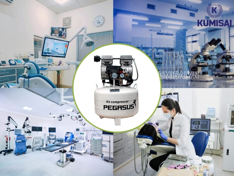 Ứng dụng của máy nén khí Pegasus TM-OF550-40L trong đời sống 