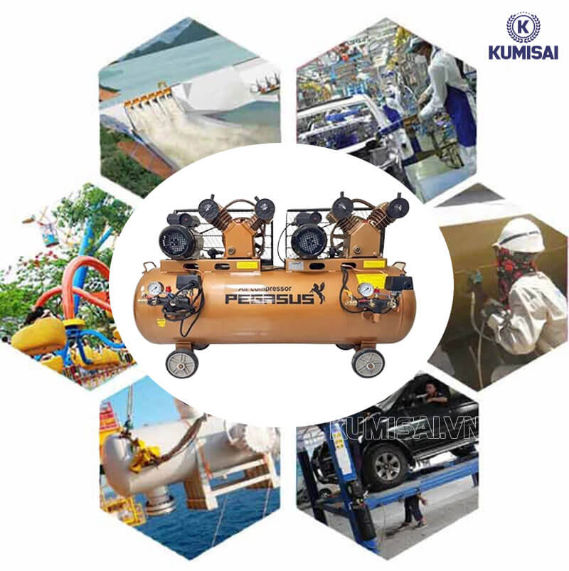 Model Pegasus TM-V-0.25/8x2-230L ứng dụng linh hoạt 