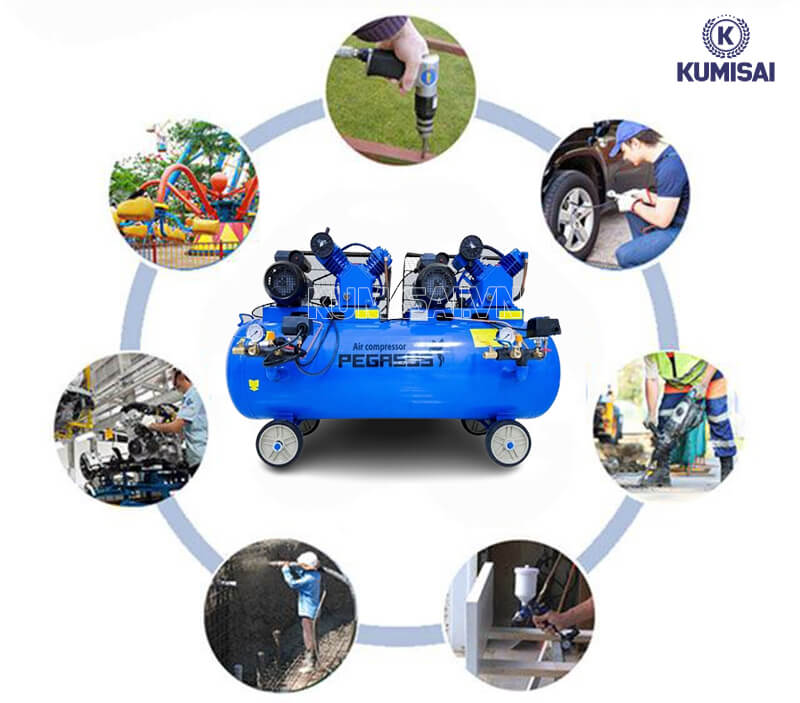 Pegasus TM-V-0.25/12.5x2-230L ứng dụng đa năng 