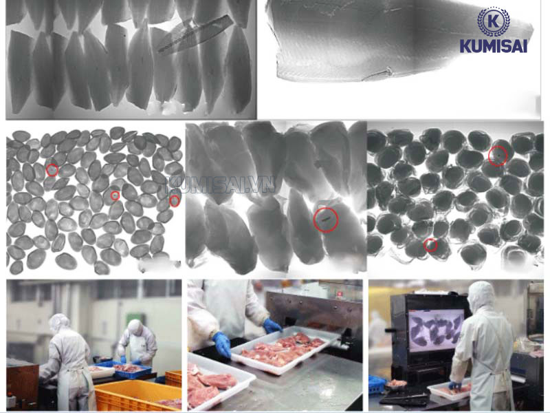 Máy dò X-ray đóng vai trò quan trọng trong đảm bảo chất lượng sản phẩm