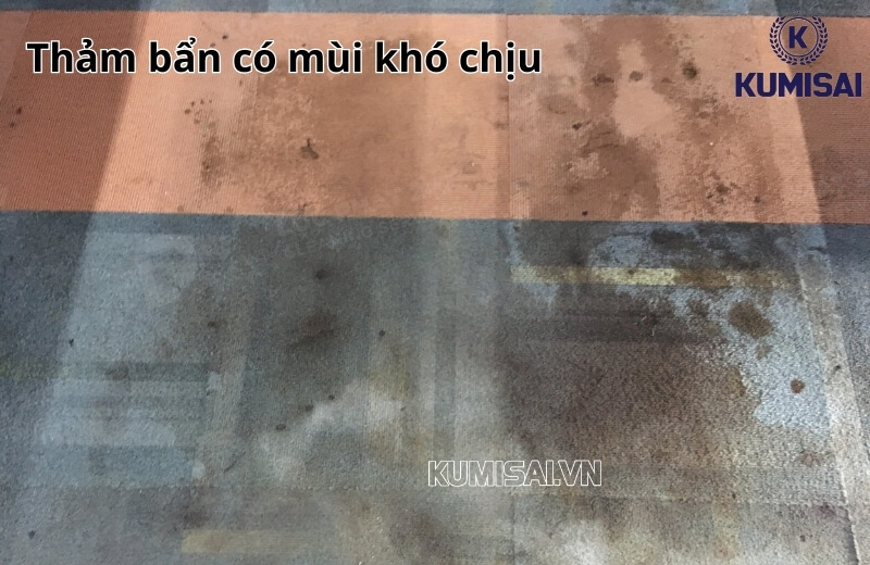 Thảm sử dụng lâu ngày, không vệ sinh sẽ xuất hiện mùi hôi khó chịu