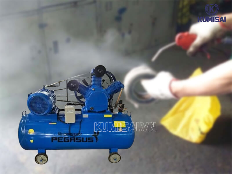 Vệ sinh bộ lọc máy nén khí dây đai Pegasus TM-W-1.6/12.5-500L