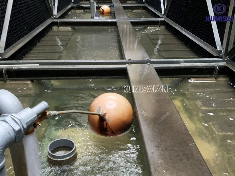 Xử lý nước thường xuyên để tránh phát sinh rong rêu và vi khuẩn